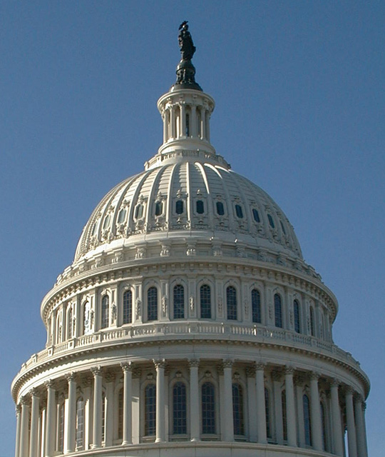 Picture of the U.S. Capitol dome.